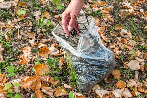 Una mujer recoge conos de pino y ramas para hacer artesanías hechas de material natural