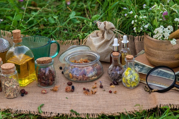 Una mujer recoge hierbas medicinales Enfoque selectivo Naturaleza