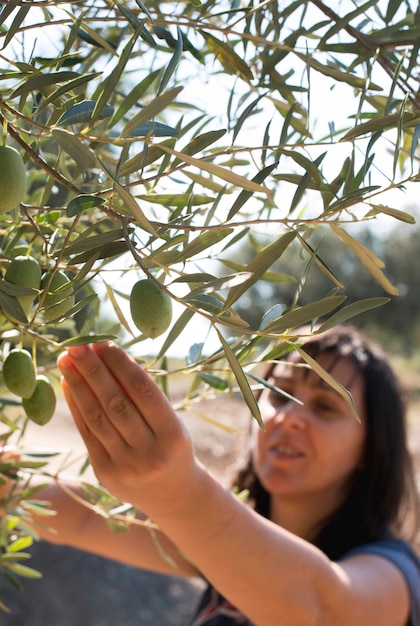 Foto mujer recogiendo frutas de un árbol