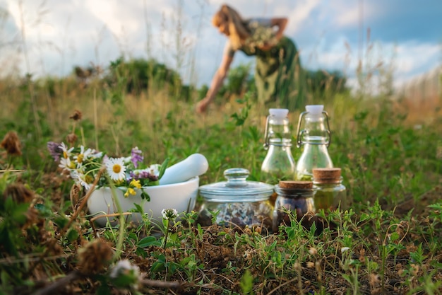 La mujer recolecta hierbas medicinales. Enfoque selectivo. Naturaleza.