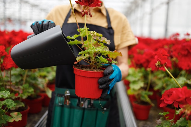 Mujer regando flores en un invernadero