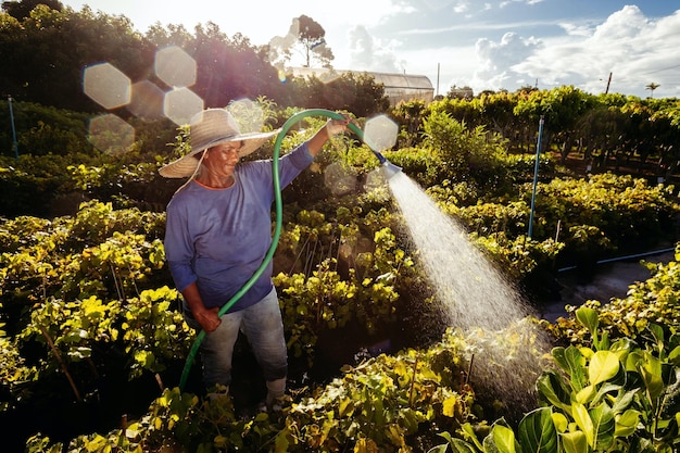 Foto mujer regando las plantas foto