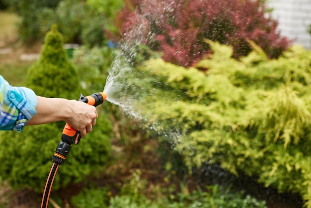 mujer, regar planta, en, jardín, en, verano