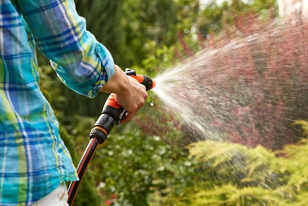 mujer, regar planta, en, jardín, en, verano