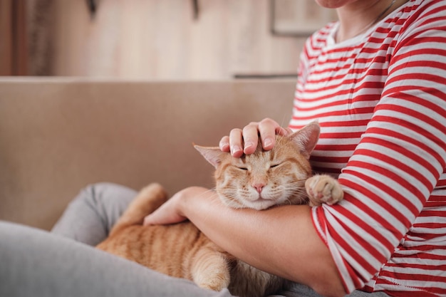 Mujer relajándose con su mascota de jengibre en un sofá Cozy scene hygge concept