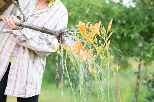 Una mujer riega las flores en el jardín cuida el jardín