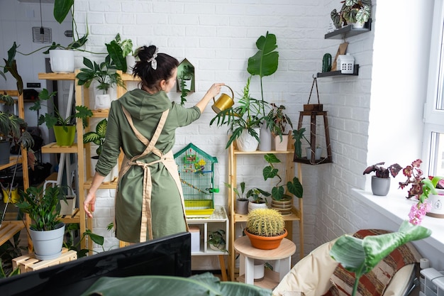 Una mujer riega las plantas caseras de su colección de especies raras de una regadera cultivada con amor en estantes en el interior de la casa Planta casera que crece el equilibrio hídrico de la casa verde