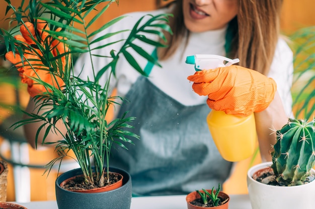 Mujer rociando plantas en macetas sobre la mesa