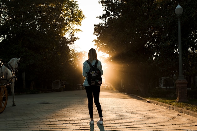 Foto mujer sin rostro en el parque en la puesta del sol