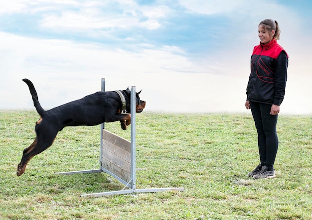 Mujer y rottweiler en la naturaleza.