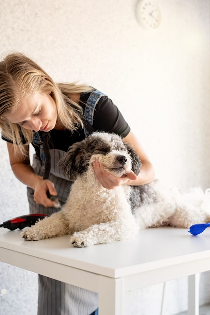 Mujer rubia arreglando un perro en casa