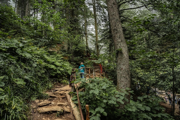 Mujer de senderismo en el bosque en las montañas