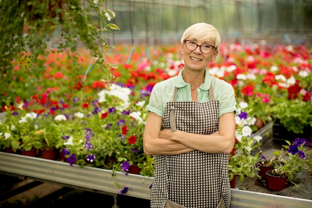 Mujer Senior que trabaja en el jardín de flores