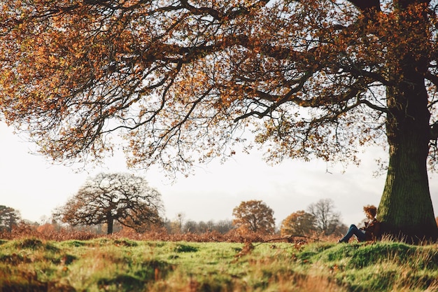 Mujer sentada bajo un árbol en el campo