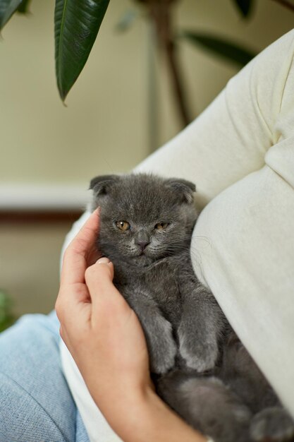 Mujer sentada y sostenga en la mano lindo gatito gris hembra