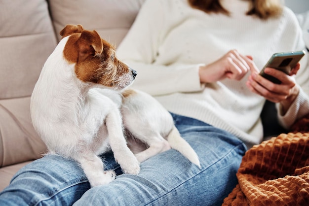 La mujer se sienta con el perro y usa el teléfono inteligente