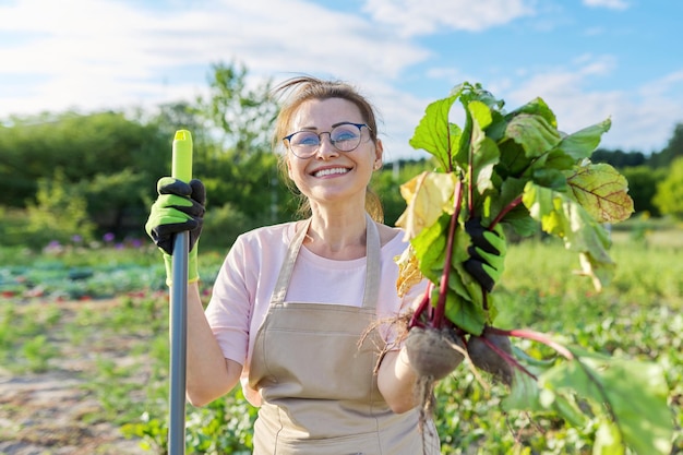 Mujer sonriente agricultora jardinera en delantal con verduras frescas de remolacha desenterrada