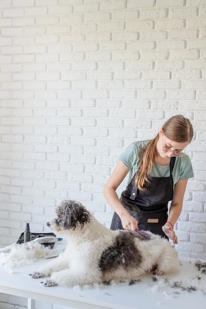 Mujer sonriente aseo perro bichon frise en el salón