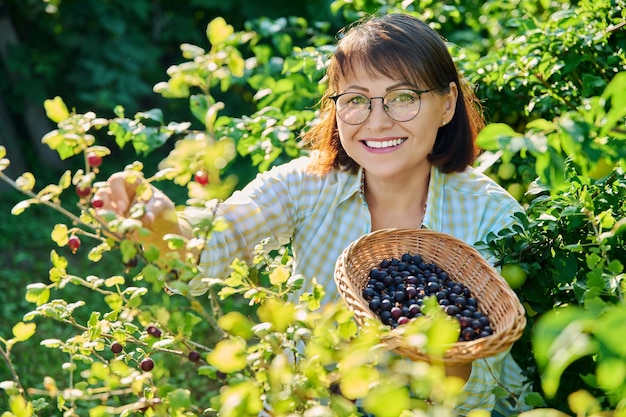 Mujer sonriente de mediana edad cosechando bayas en un arbusto de grosella espinosa en el jardín Cultivando bayas orgánicas saludables temporada de verano agricultura agrícola jardinería verano concepto de alimentos vitamínicos agrícolas