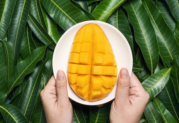 Foto mujer sostenga mango hermoso jugoso fresco picado sobre hojas verdes