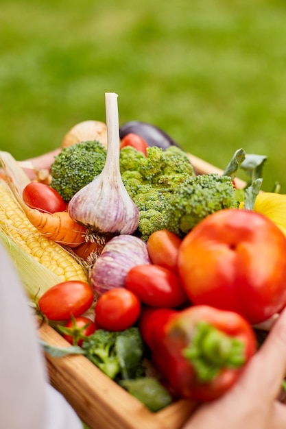 Mujer sostenga en las manos caja de madera con diferentes verduras frescas de granja