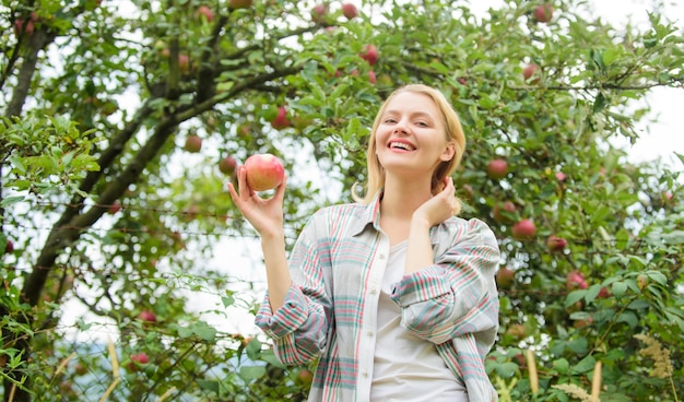 Mujer sostenga manzana fondo verde del jardín Producto natural orgánico Niña recoja la cosecha de manzanas en su propio jardín Niña agricultora sostenga manzana Concepto de cultivos locales Estilo de vida saludable Coma frutas todos los días