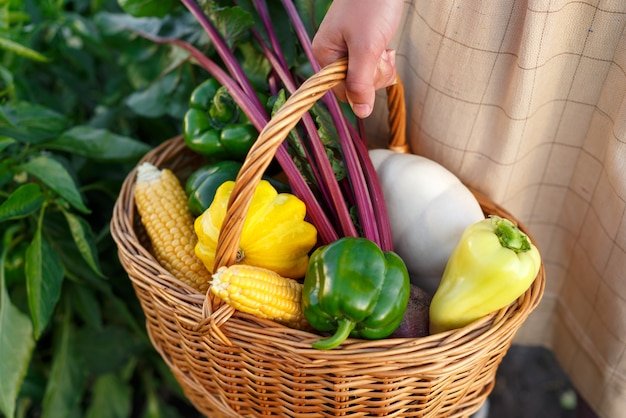 Mujer sosteniendo una canasta con maíz y verduras