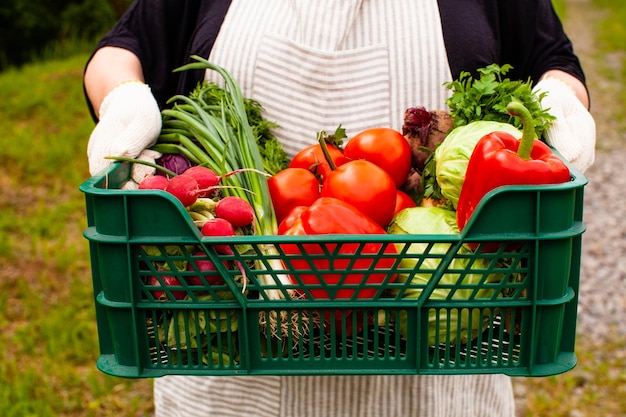 Mujer sosteniendo una canasta con verduras maduras