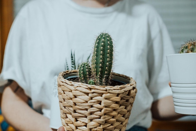 Mujer sosteniendo diferentes plantas y cactus para decorar su nuevo hogar concepto de casa moderno y elegante Copiar imagen espacial