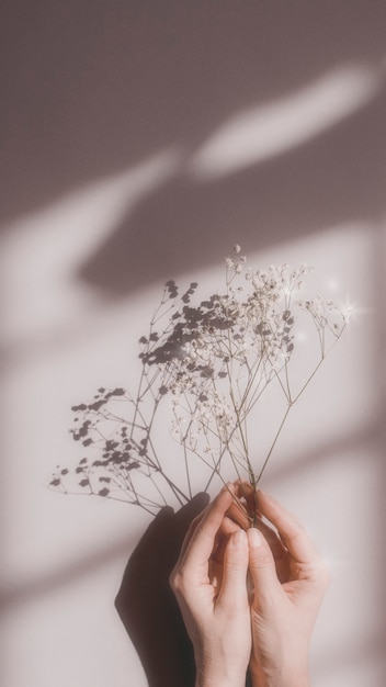 Mujer sosteniendo flores blancas sobre un fondo rosa