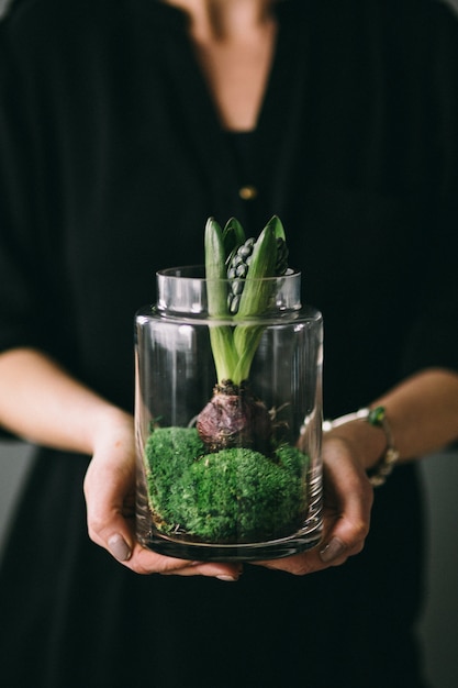 Foto una mujer sosteniendo un frasco con una plántula.