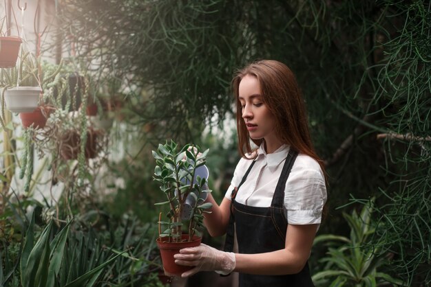 Mujer sosteniendo una maceta con planta de interior en manos