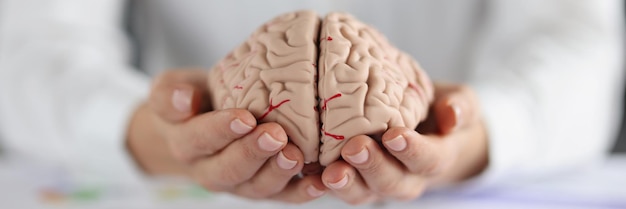 Mujer sosteniendo en las manos dos piezas de cerebro humano femenino muestran plenitud en la mente de la persona