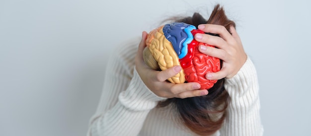 Mujer sosteniendo modelo de cerebro humano Día mundial del tumor cerebral Accidente cerebrovascular Demencia alzheimer parkinson y concepto mundial de salud mental