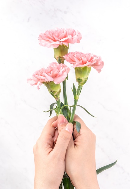 Mujer sosteniendo un montón de clavel para el concepto de regalo del día de la madre.