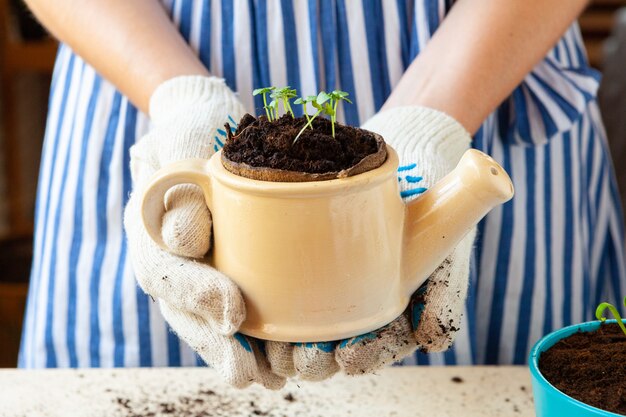 Mujer sosteniendo una olla con un brote en sus manos. Jardinería