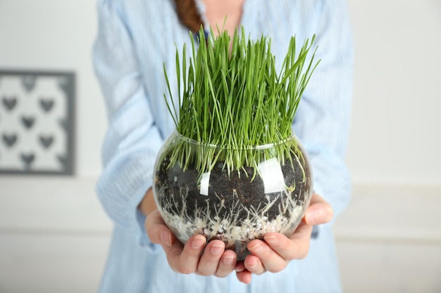 Mujer sosteniendo una olla transparente con hierba verde fresca