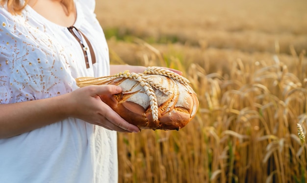 Mujer sosteniendo pan recién horneado entre el campo de trigo ucraniano