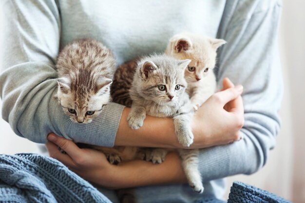 Mujer sosteniendo pequeños gatitos lindos