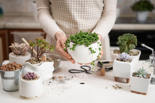 Mujer sosteniendo la planta de la casa senecio rowley en maceta en maceta de cerámica blanca