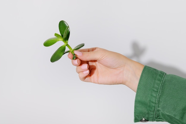 Mujer sosteniendo una planta verde sobre fondo blanco.