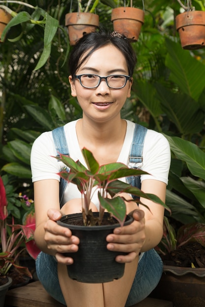 Mujer sosteniendo plantas en macetas