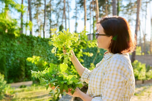 Mujer sosteniendo una rama de tomillo fresco en sus manos al aire libre en el jardín