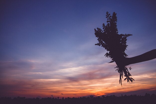 Mujer sosteniendo ramo de flores silvestres de verano en sus manos. Cielo de fondo, silueta, puesta de sol.