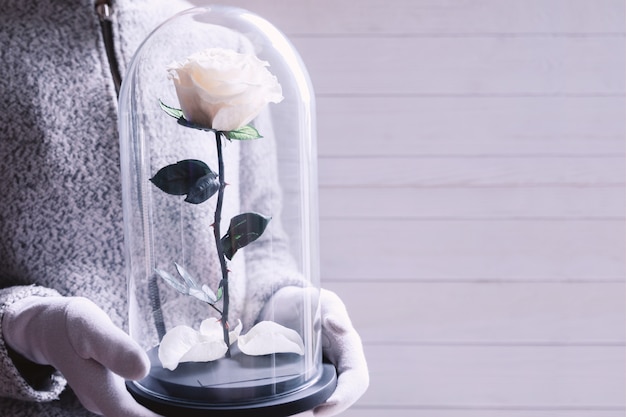 Mujer sosteniendo una rosa blanca en un matraz