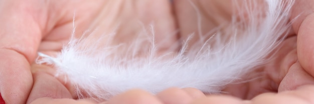 Mujer sosteniendo suave pluma blanca en sus manos closeup