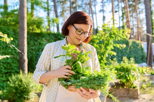 Mujer sosteniendo en sus manos hierbas aromáticas picantes frescas menta toronjil romero tomillo
