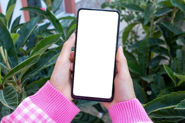 Mujer sosteniendo teléfono con pantalla de maqueta blanca en blanco