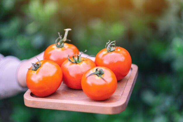 Una mujer sosteniendo un tomate fresco en una bandeja de madera