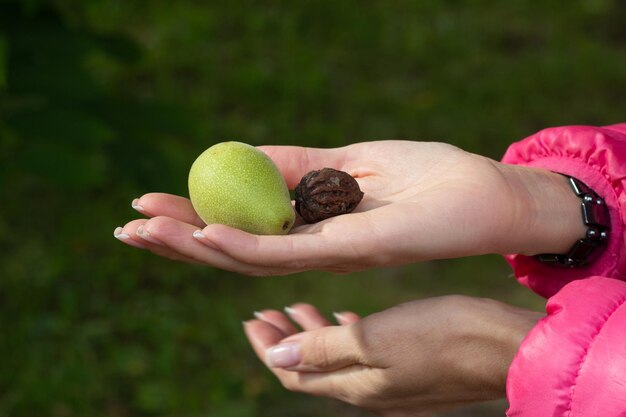 La mujer sostiene un árbol frutal de piedra y verde